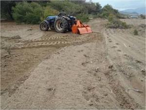 Sand dune ploughing in Kyparissia