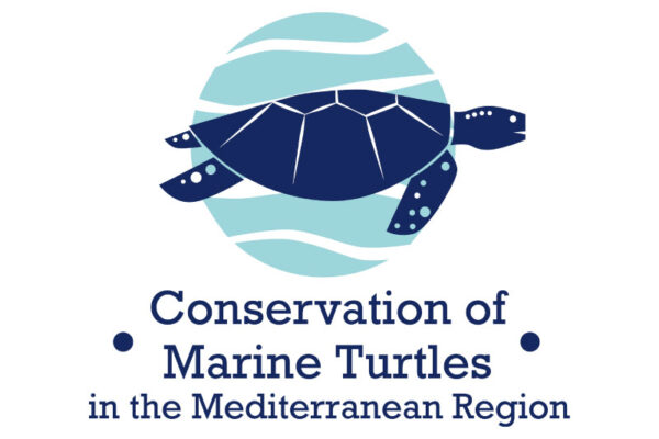 Προστασία των θαλάσσιων χελωνών στην Μεσόγειο