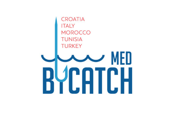 The MedΒycatch Project