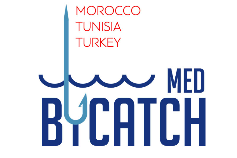 Medbycatch project