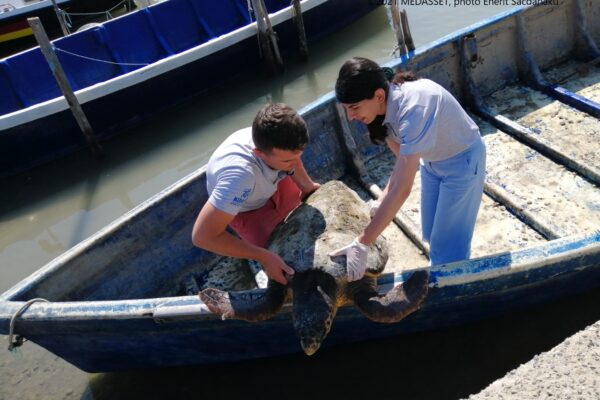 Drone surveying of Drini Bay & Patok Lagoon (Albania) for Sea Turtles Presence & Distribution (2020-2022)
