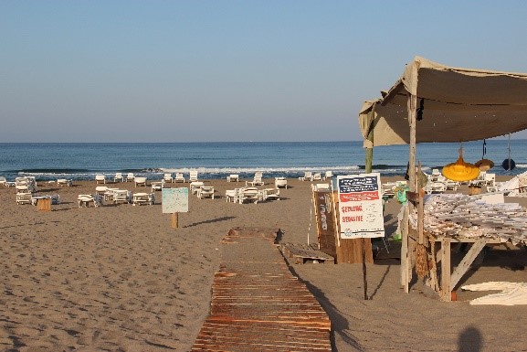 T-PVS/Files(2023)39: Open case-file: 2012/09 Presumed degradation of nesting beaches in Fethiye and Patara  SPAs (Türkiye) – Complainant Report