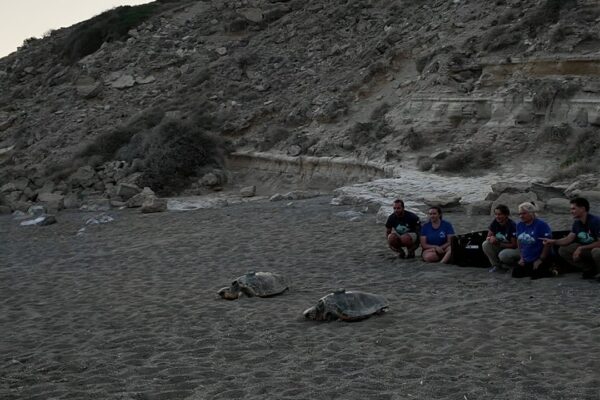 LIFE MareNatura Documentary: Capturing Sea Turtle Conservation in Mesara, Crete
