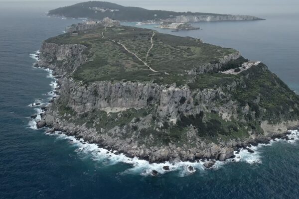 Discover the First Glimpse of LIFE MareNatura – Protecting Marine Life in a Changing World documentary